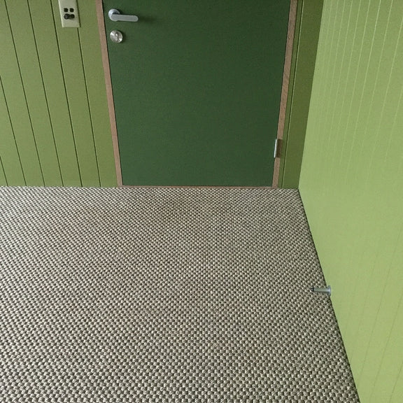 A green door and walls complement a textured, heavy rustic sisal carpet; a small metal bracket sits in the bottom right corner.